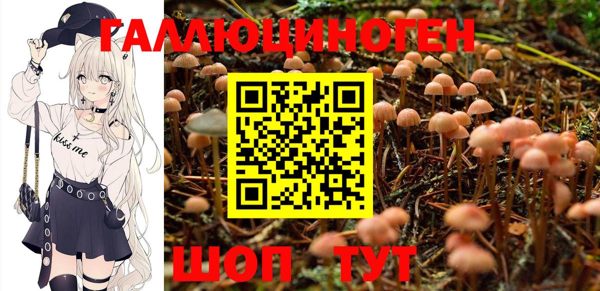 Сердобск  Псилоцибиновые грибы Psilocybine cubensis  где можно купить наркотик  Псилоцибиновые грибы прущие грибы  Вход с VPN 