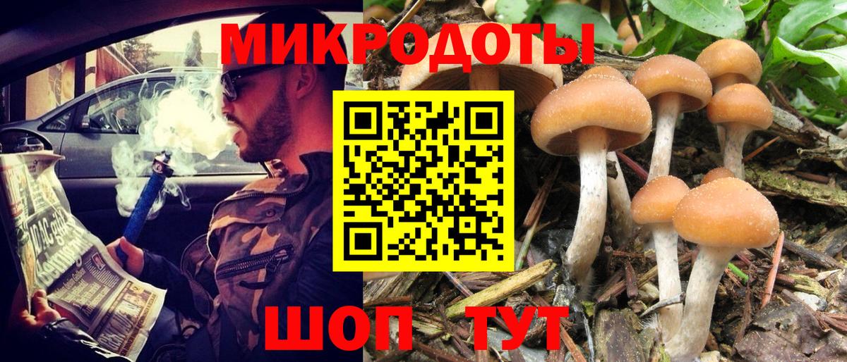 Псилоцибиновые грибы Psilocybe Сердобск